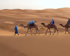 Afrika: Kontinent der Vielfalt (3/3)