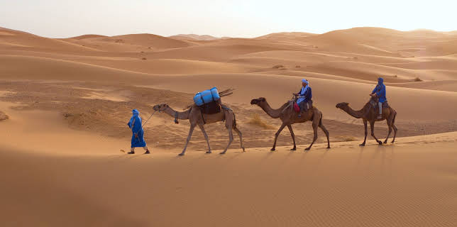 14:50: Afrika: Kontinent der Vielfalt (3/3) | 3SAT | 1/30 2026