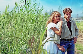 Cañaveral de Pasiones season-1: Cañaveral de Pasiones Capítulo 1