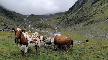 16:30: natur exclusiv | BR Fernsehen | 10/10 2026