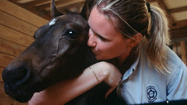 12:15: Animal Cops Houston (S9 E5) (S9) | Animal Planet | 2/2 2026