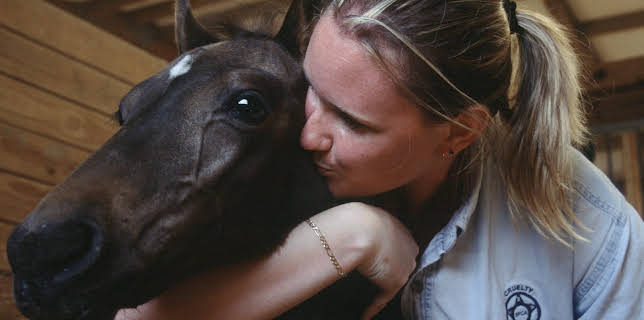 03:00: Animal Cops Houston (S9 E5) (S9) | Animal Planet | 2/4 2026