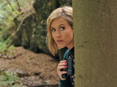 15:10: Alles Klara | SWR Fernsehen RP | 6/26 2026