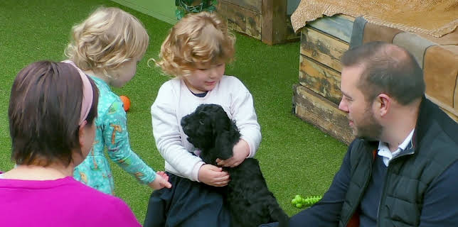 21:50: Hundehuset: Kvalpekaos | NRK 2 | 2/4 2026