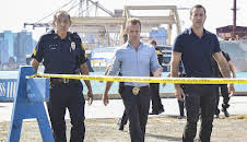 Hawaii Five-0 (S8 E2)