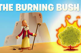 Minno Laugh And Grow Bible For Kids (with ASL): Season 1: The Burning Bush (with ASL)