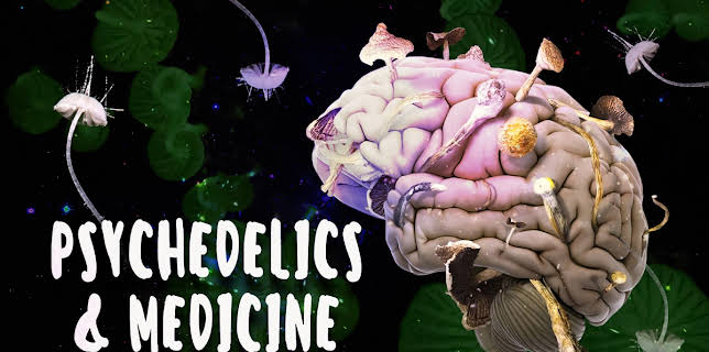 Psychedelics and Medicine (2021)