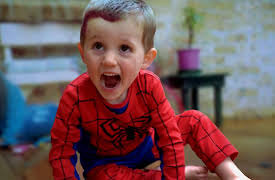 Disappearance of William Tyrrell: Disappearance In a Small Town