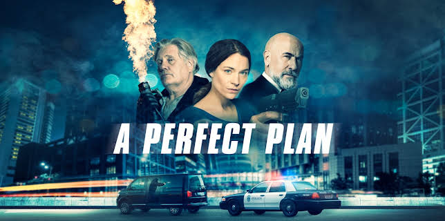 A Perfect Plan (2020)