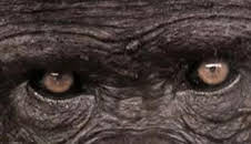 Historia de la vida: El poder