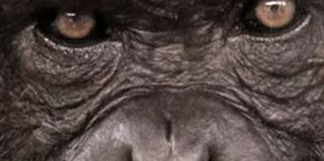 16:38: Historia de la vida: El poder | La Otra | 12/7 2025