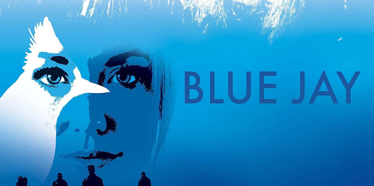 Bluejay (2016)