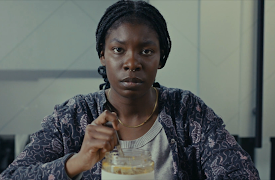 Novelette Is Trying: Novelette is Trying to Gain a Friend