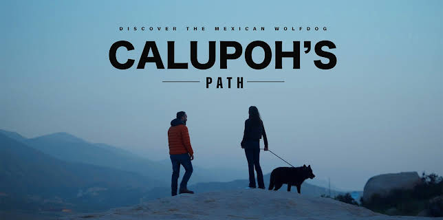 Calupoh's Path (2024)