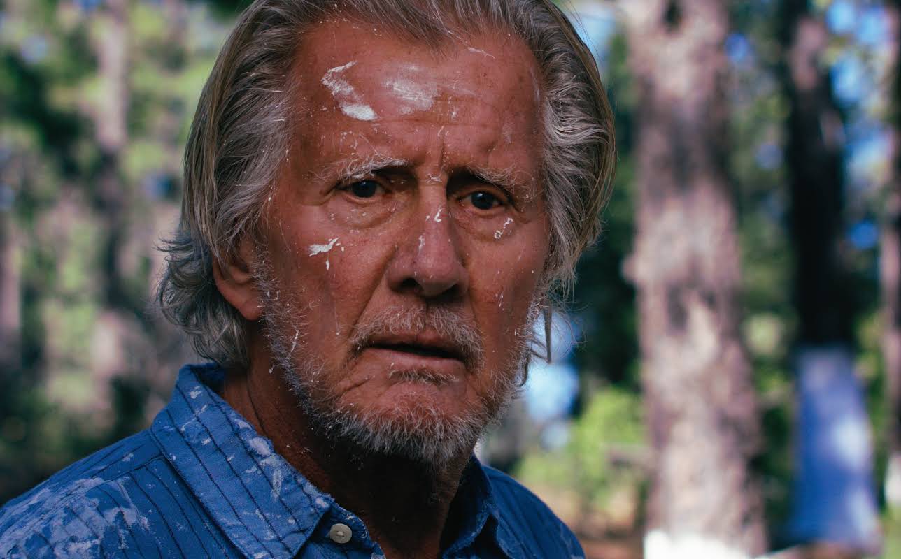 Forrest Fyre