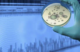 Big History: The Big Bang, Life on Earth, and the Rise of Humanity: Threshold 5—Life