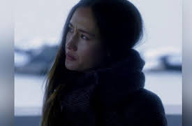 Nikita: Season 1: The Next Seduction