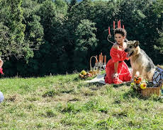 Racko - Ein Hund für alle Fälle (20)