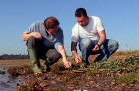 Great British Menu: Episode 7