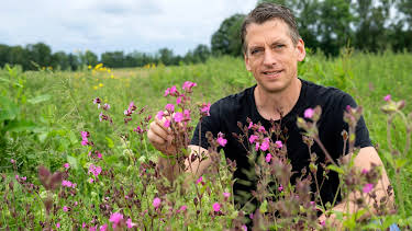 17:00: Land & lecker | WDR Fernsehen | 5/16 2026