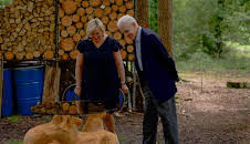 The Woodland Workshop