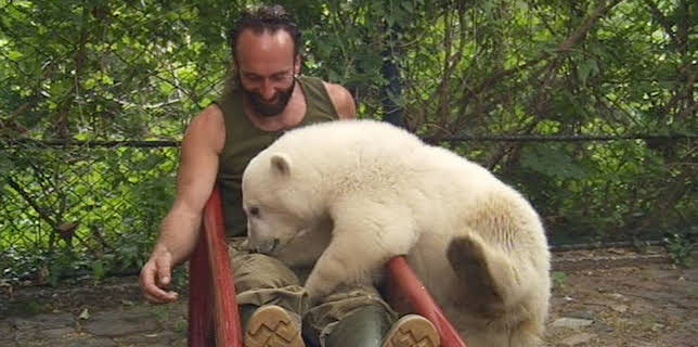 17:05: Panda, Gorilla & Co. (76) | RBB Fernsehen | 2/20 2026