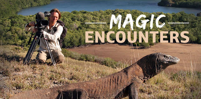 World's Wildest Encounters