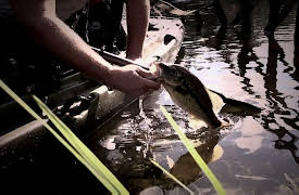 Lone Star Law Season 1: Busted