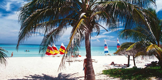 11:45: mareTV | Radio Bremen | 3/8 2026