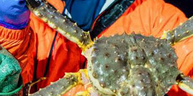 17:47: Pesca radical: Hermano en peligro | Discovery Max | 12/11 2025