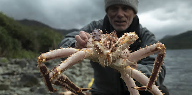 01:30: Fiske i mystiske farvann (S1 E2) (S1) | Animal Planet | 11/5 2025