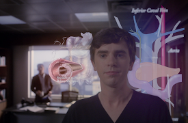 The Good Doctor: Episode 7