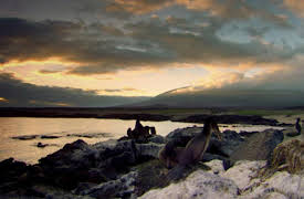 Wildest: Islands: Galapagos: Darwin's Eden