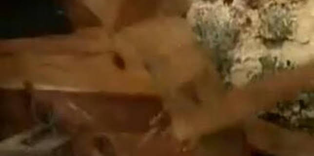 12:00: Castilla la mancha, un lugar donde vivir | Castilla la Mancha TV | 12/28 2025