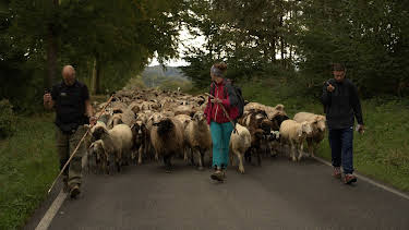 15:30: Geschichten vom Hof | SWR Fernsehen RP | 4/12 2026