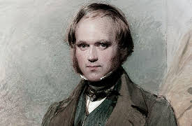 Big History: The Big Bang, Life on Earth, and the Rise of Humanity: Darwin and Natural Selection