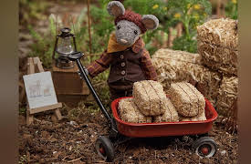 Scout & The Gumboot Kids: The Case of The Hidden Snack