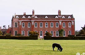 Project Restoration: Final Restorations