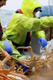 10:28: Pesca radical: El fin del principio | Discovery | 7/22 2026