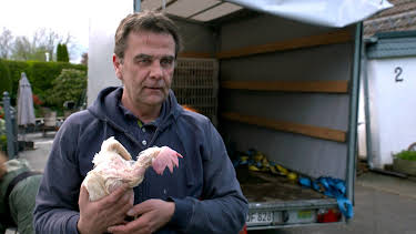 22:45: Menschen hautnah: Vom Glück, ein Huhn zu retten | WDR Fernsehen | 4/16 2026