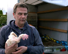 Menschen hautnah: Vom Glück, ein Huhn zu retten