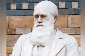 Introduction to Paleontology: Life Cast in Ancient Stone