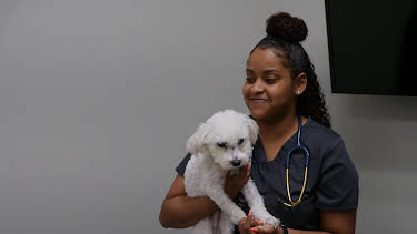 11:20: The Vet Life (S3 E16) (S3) | Animal Planet | 12/30 2025