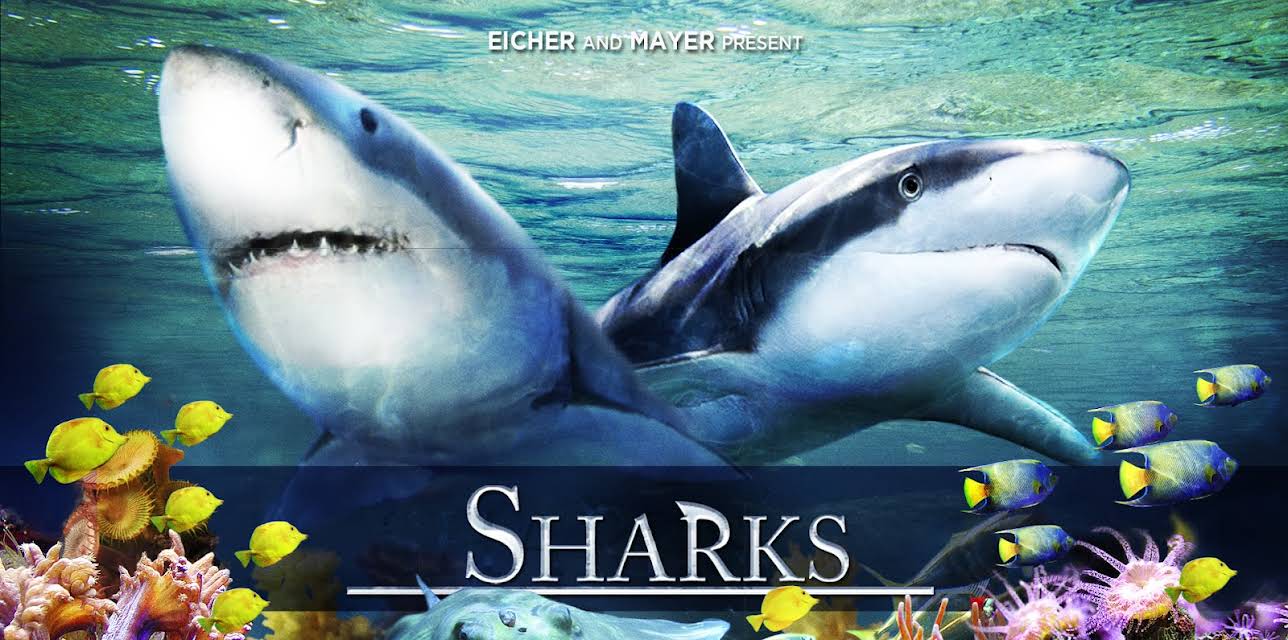 Sharks (2D) (2015)