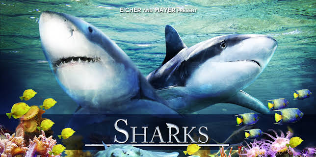 Sharks (2D) (2015)