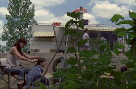 The Walking Dead, Season 1: Tell It To The Frogs