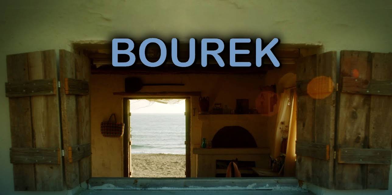 Bourek (2016)