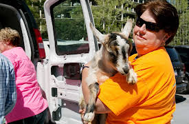 Animal ER: Episode 1