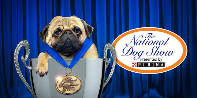 The National Dog Show (2025) (2026)