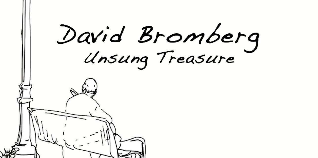 David Bromberg: Unsung Treasure (2012)